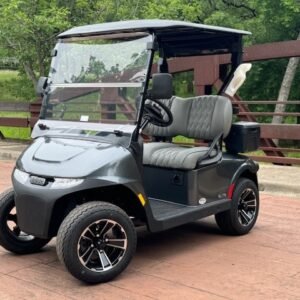 2023 E-Z-GO Freedom RXV Elite