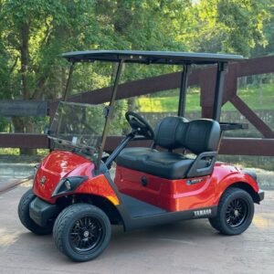 2024 Yamaha Drive2 – Electric