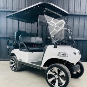 2022 Pearl White Evolution Classic 4 Plus